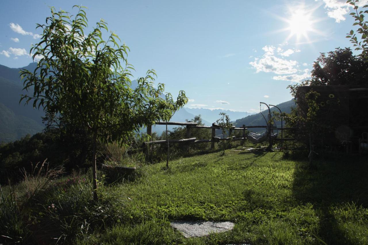 La Casa Di Paglia B&B Verrayes Bagian luar foto